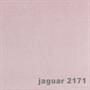 jaguar 2171 pacyg