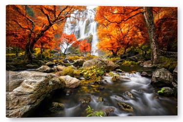 Obraz na plátně tištěný Tajemný les s vodopádem Art