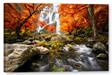 Obraz na plátně tištěný Tajemný les s vodopádem Art