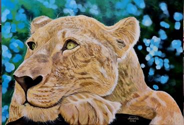 Ručně malovaný obraz na plátně zvířata Zasněný lev