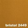 bristol 2449